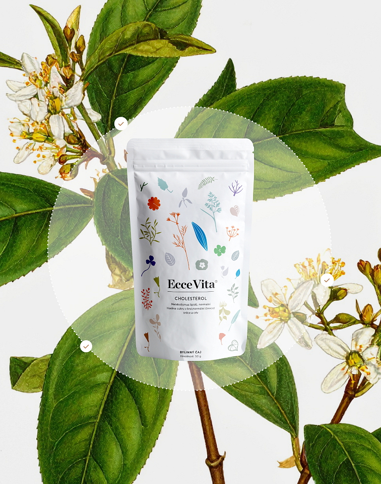 Bylinný čaj Cholesterol