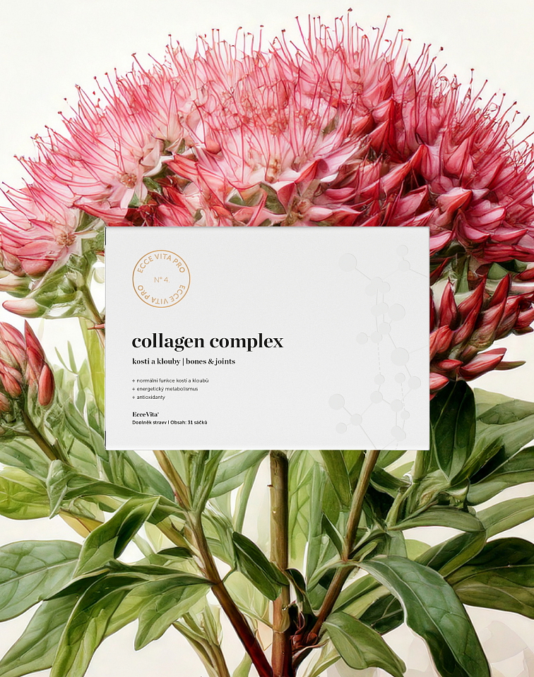 Collagen Complex