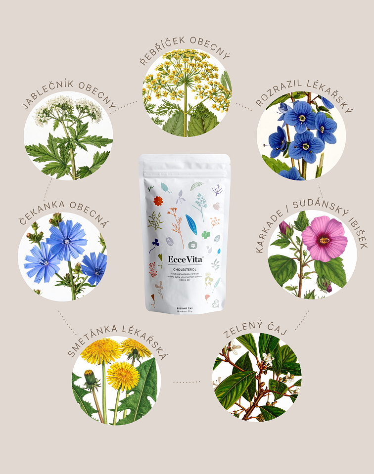 Bylinný čaj Cholesterol