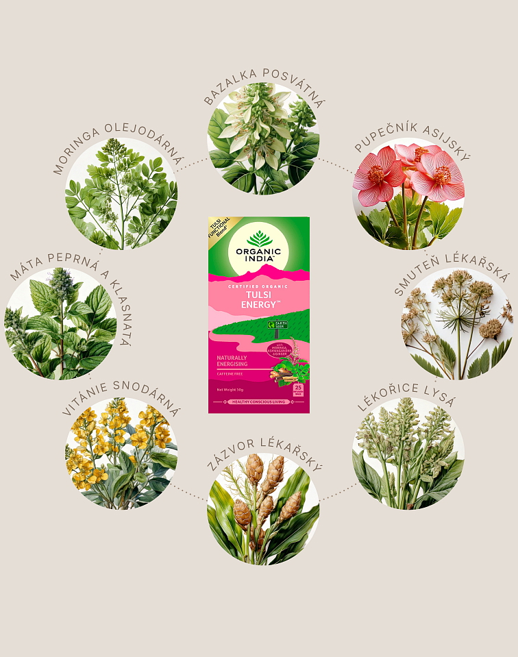 Tulsi energie BIO, 25 sáčky