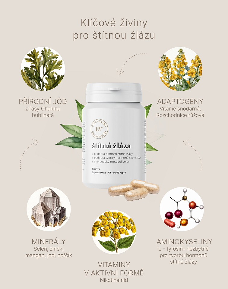 Štítná žláza (Hypotyr)