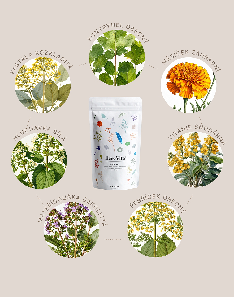 Bylinný čaj Žena 30+