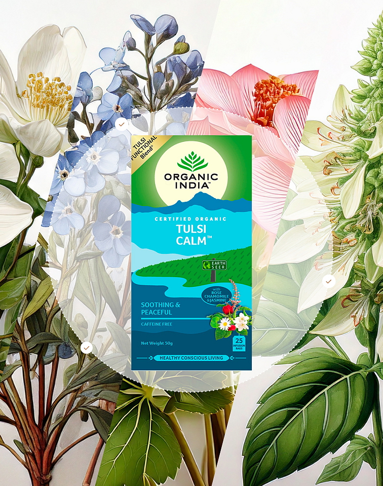 Tulsi zklidnění BIO, 25 sáčky