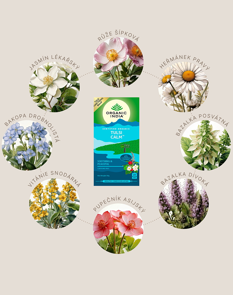 Tulsi zklidnění BIO, 25 sáčky