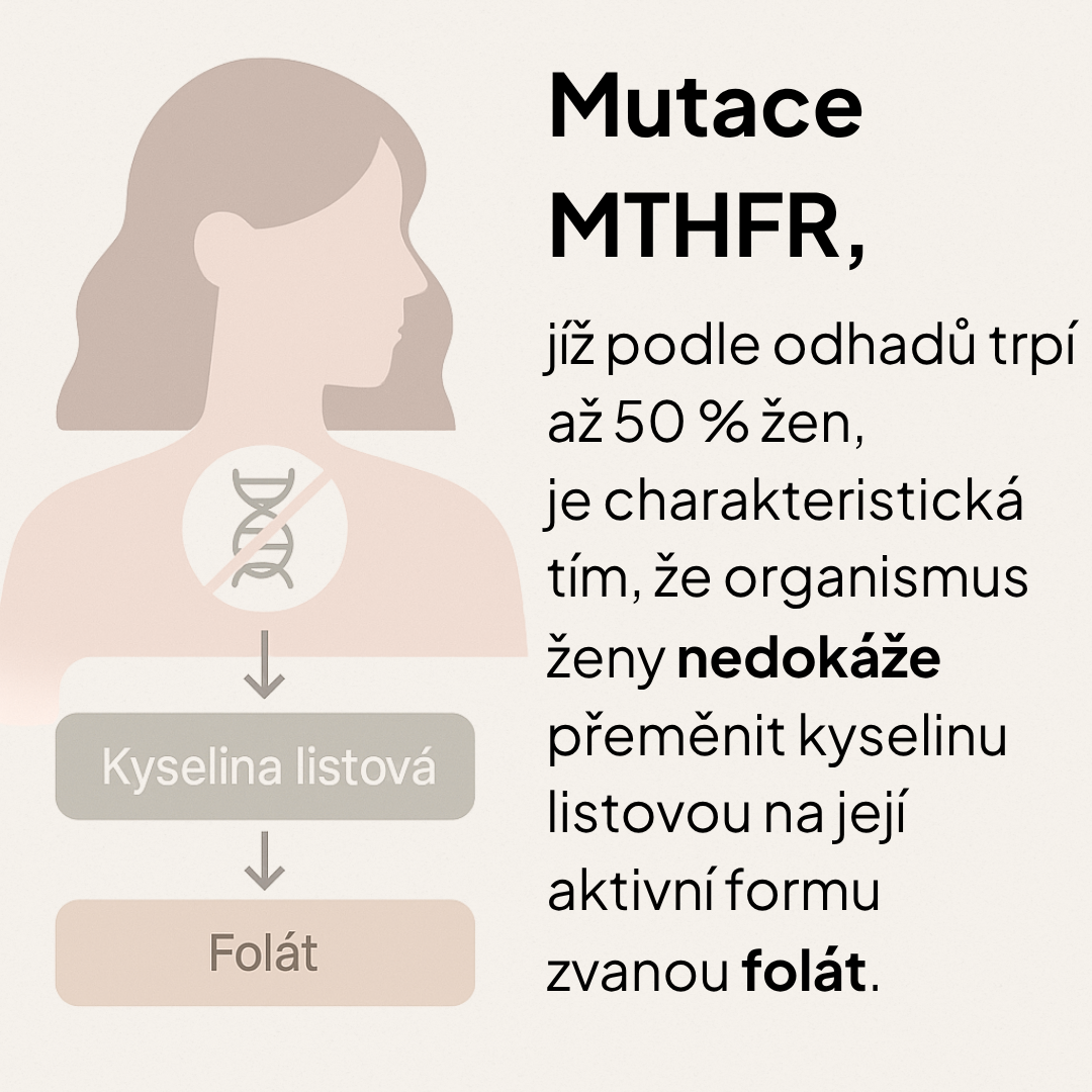 1. Chci své tělo vyžitvit – Vysazení/Beru Hormonální antikoncepci