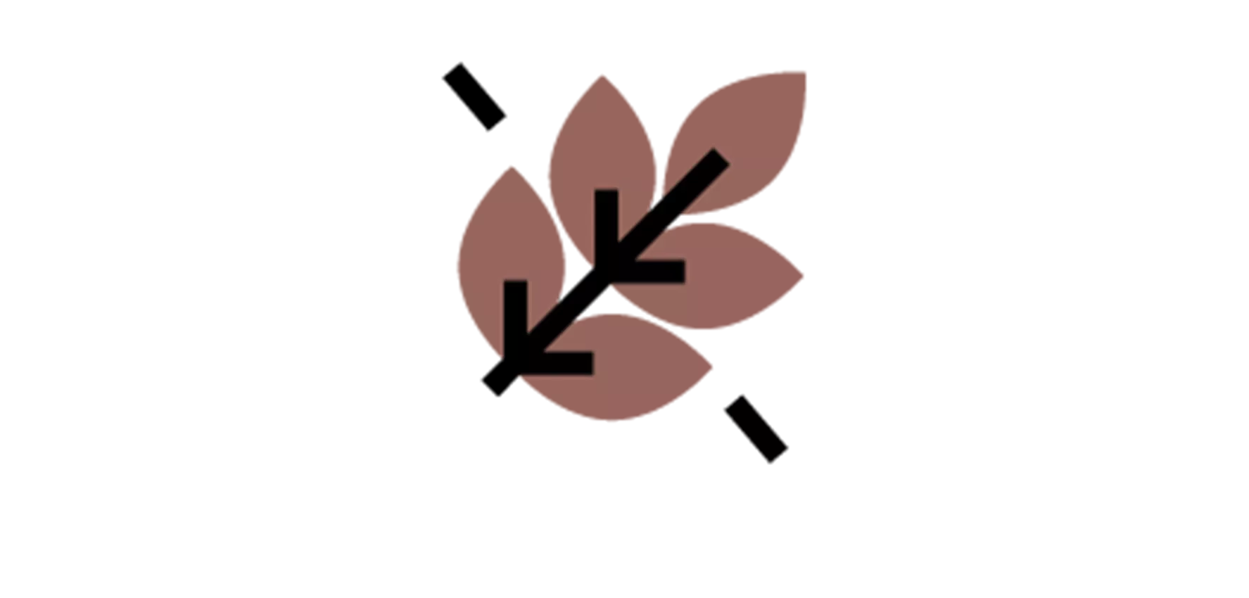 MG Cookie 03 Čokoláda s mořskou solí