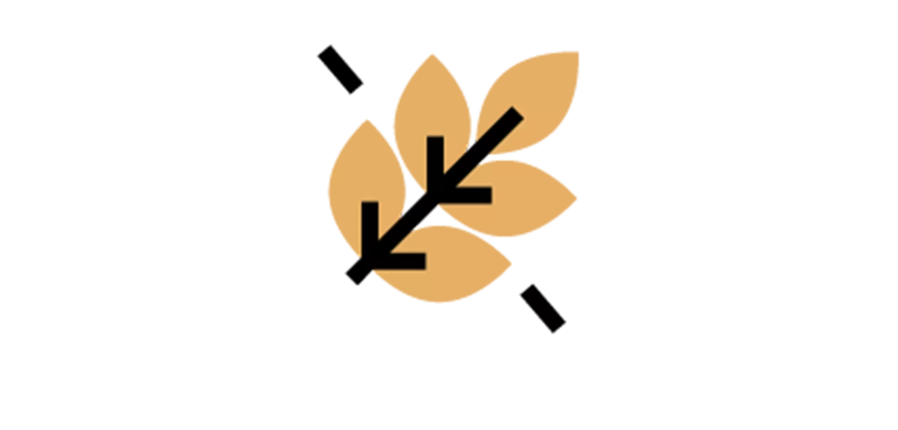 MG Cookie 04 Slaný arašíd