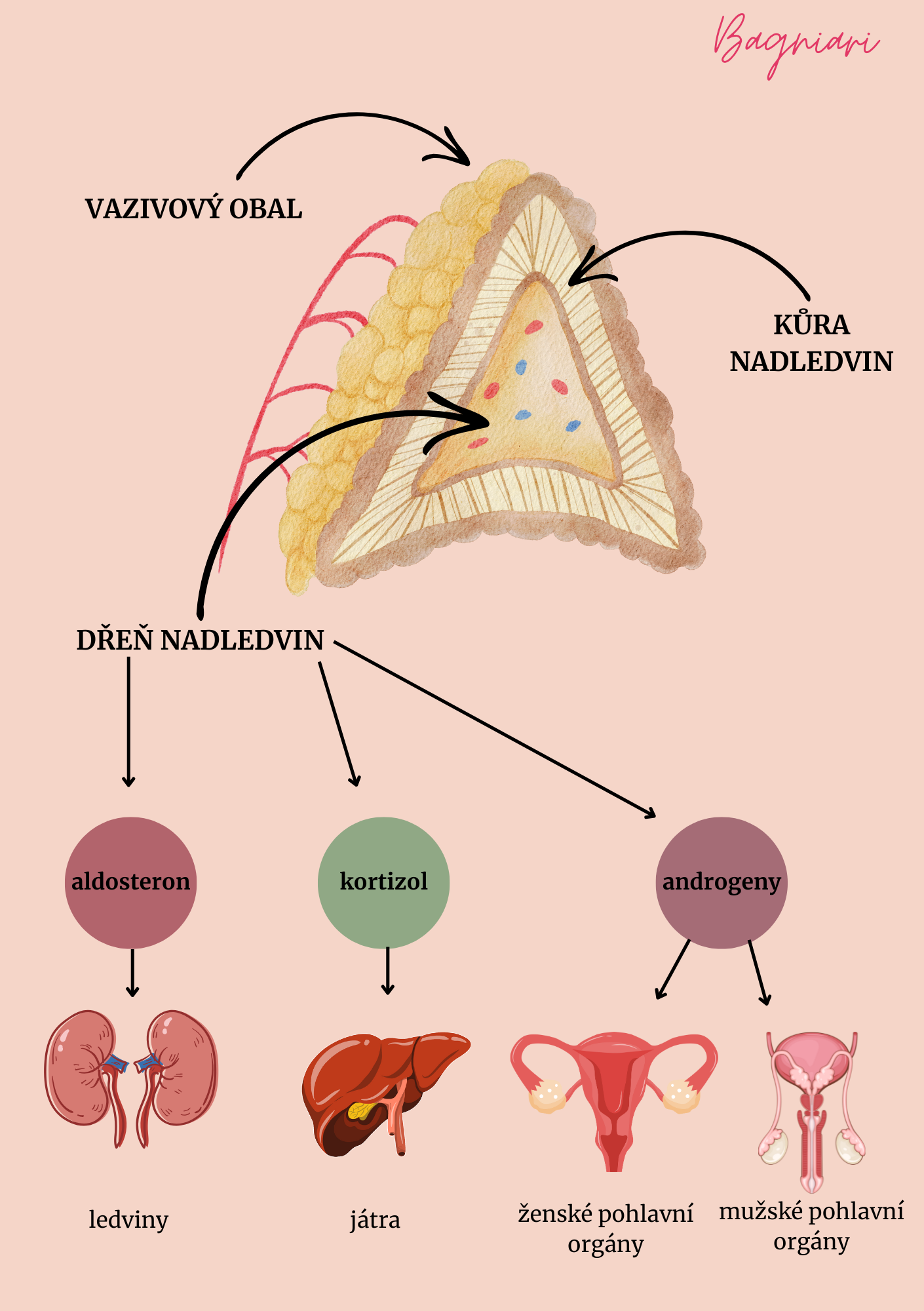 Přínosy vitamínu C u žen