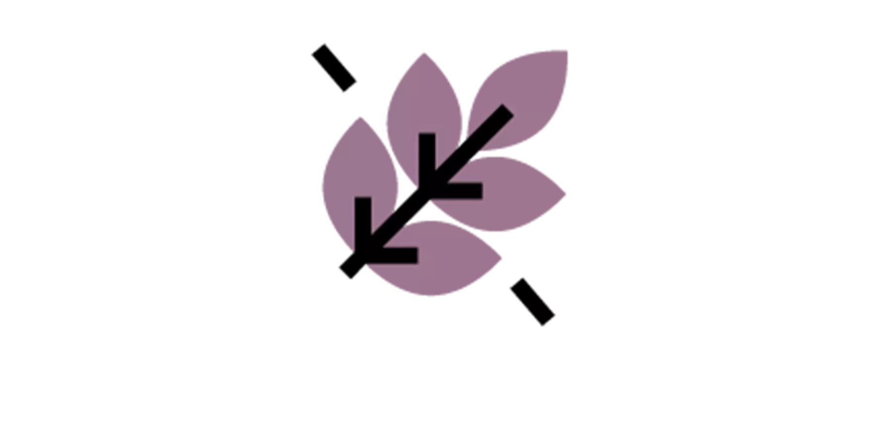 MG Cookie 02 Berries s vanilkou