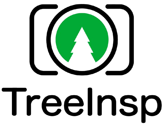 TreeInsp - bezdrátová sonda pro monitoring kůrovce