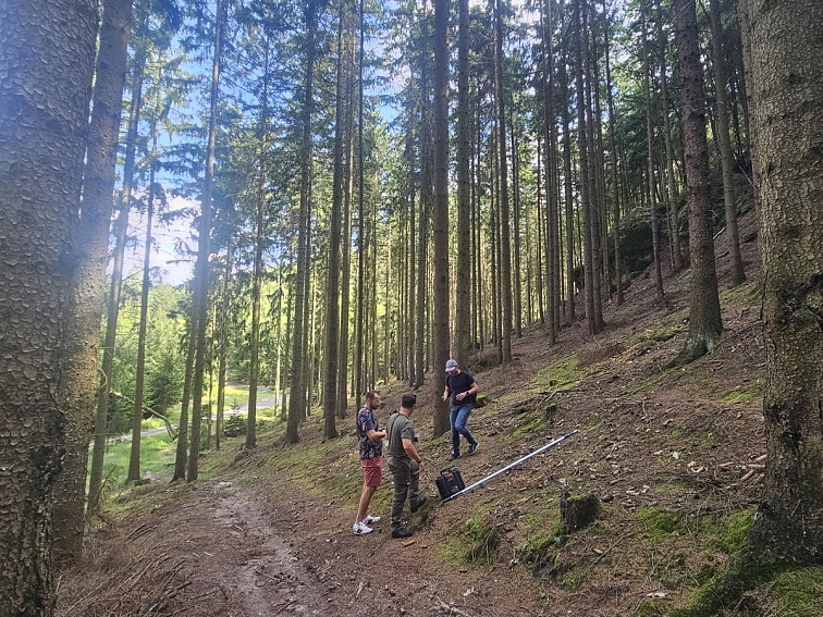 TreeInsp - bezdrátová sonda pro monitoring kůrovce