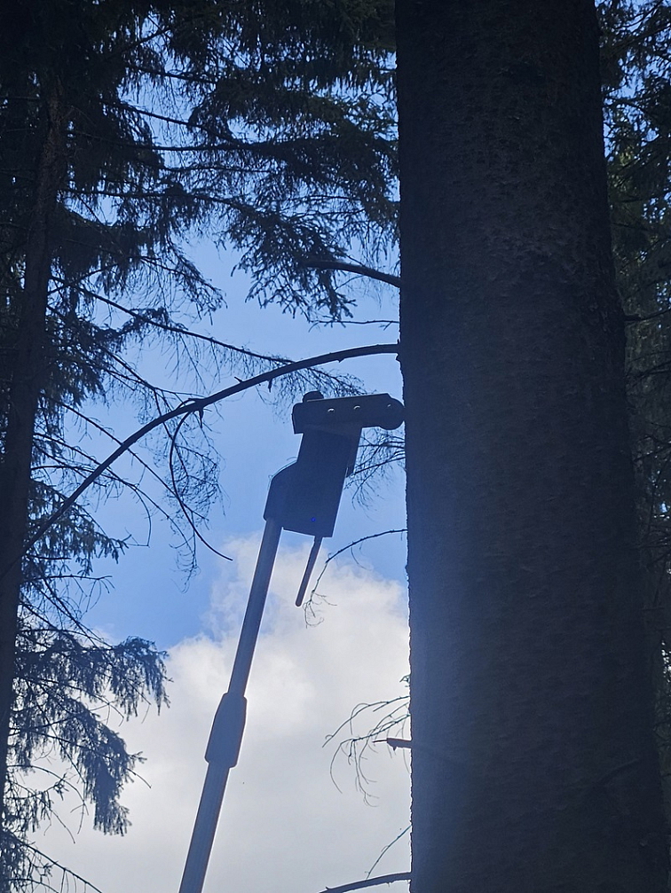 TreeInsp - bezdrátová sonda pro monitoring kůrovce