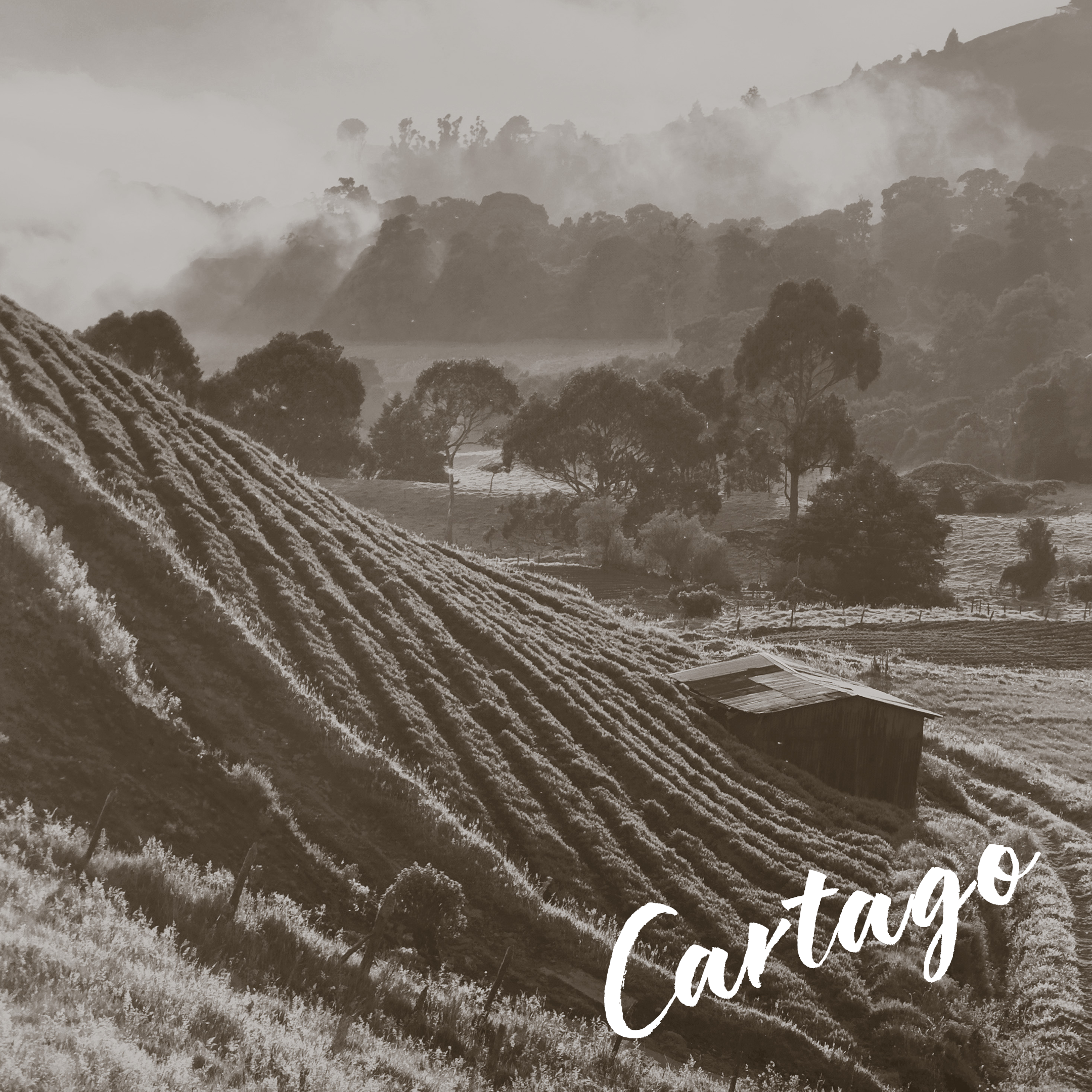 Embassy Cartago