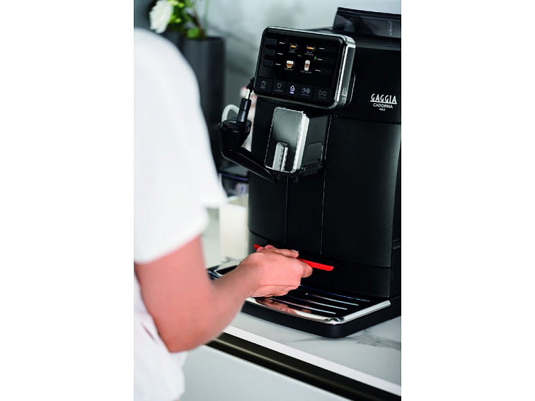 Gaggia Cadorna Milk