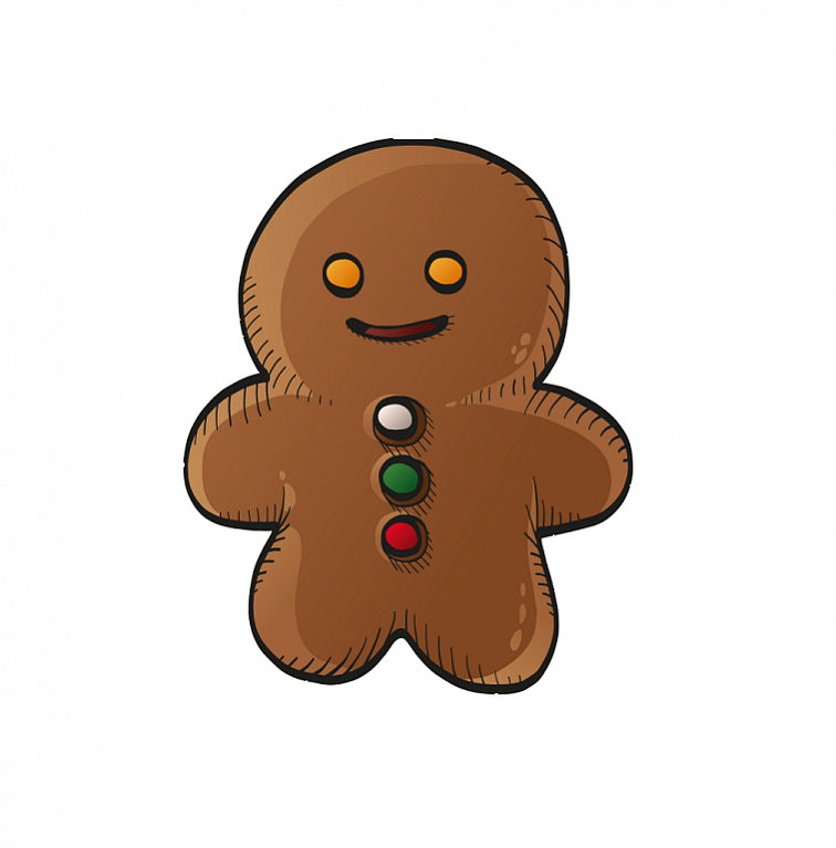 Proteinová kaše s chia CHRISTMAS GINGERBREAD 80 g (Limitovaná edice)
