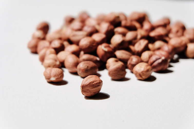 Proteinwella