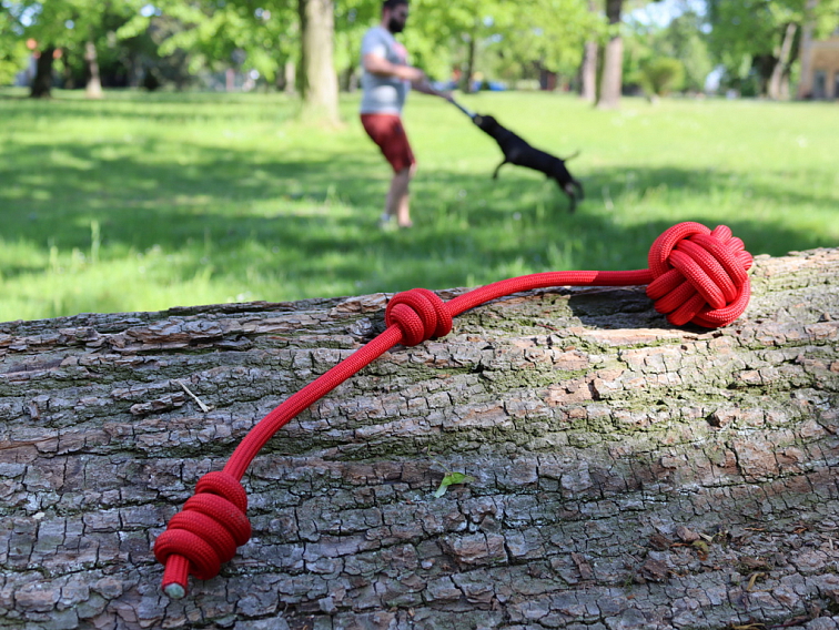 Dárkový poukaz tištěný