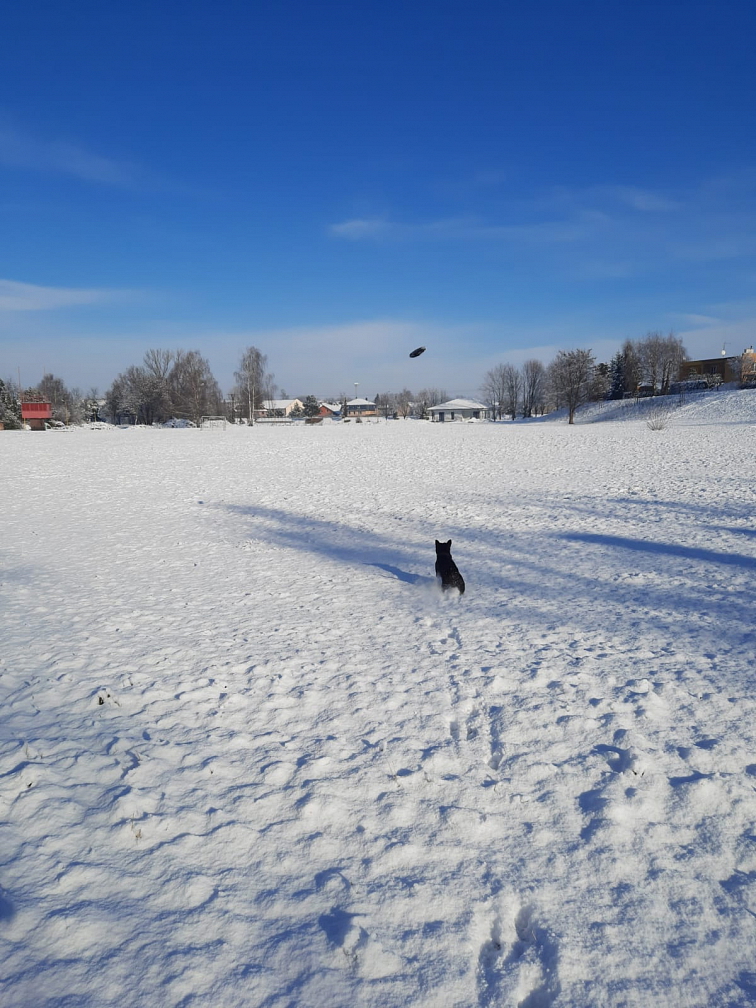 Létající talíř KONG Extreme