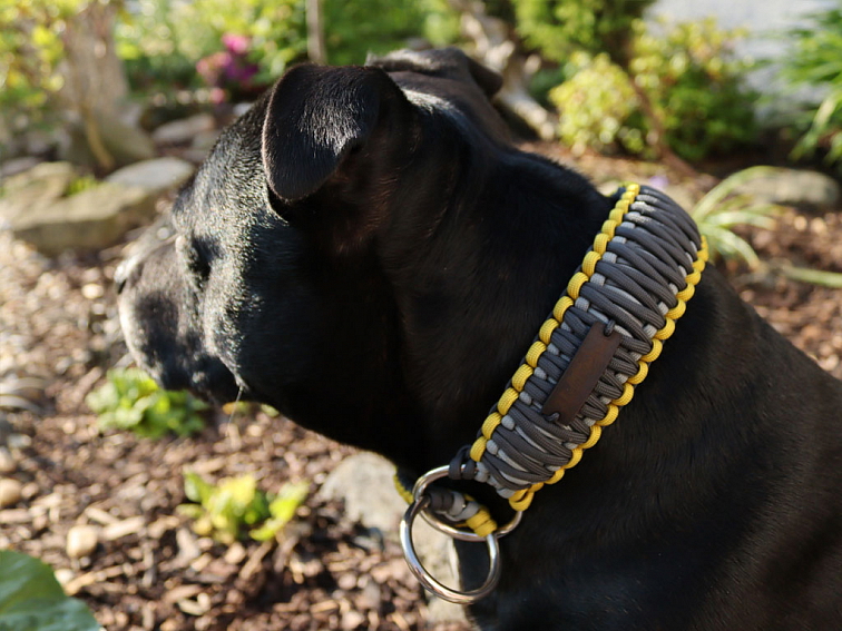 Stahovací obojek paracord KLASIK GREY žlutý