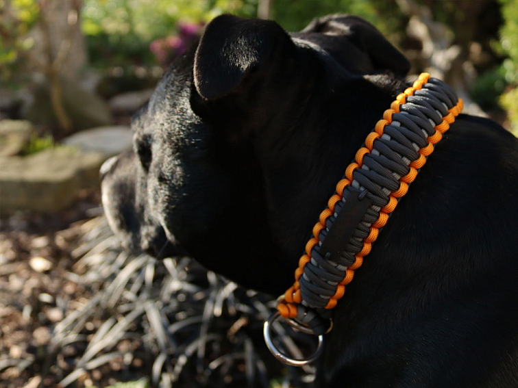 Stahovací obojek paracord KLASIK GREY oranžový