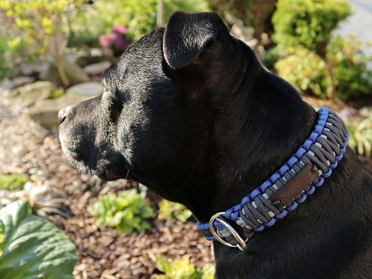 Stahovací obojek paracord KLASIK GREY modrý