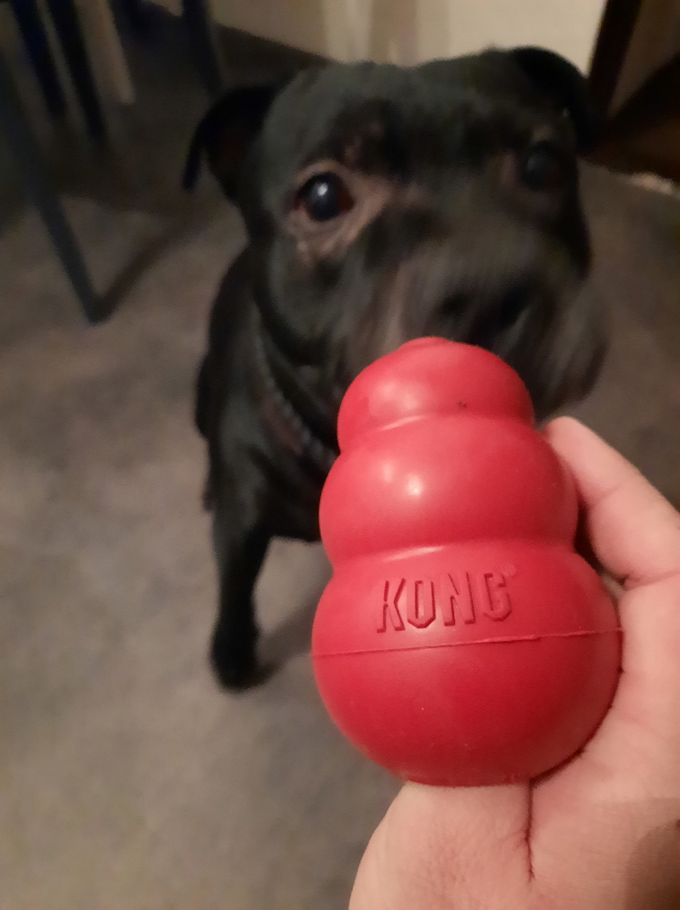 Hračka KONG Classic L