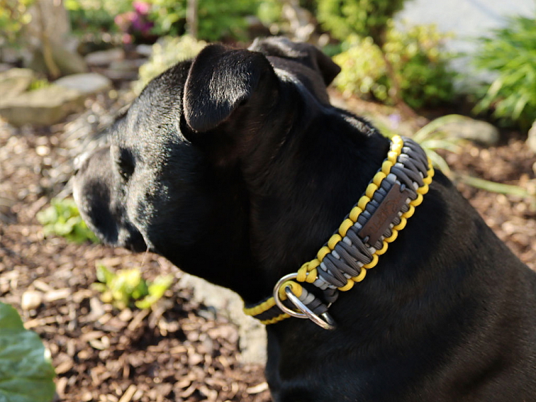 Stahovací obojek paracord KLASIK GREY žlutý