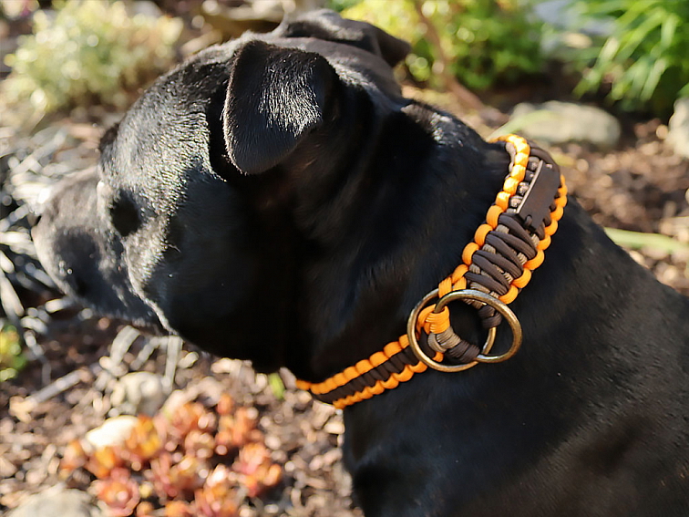 Stahovací obojek paracord KLASIK CHOCO oranžový