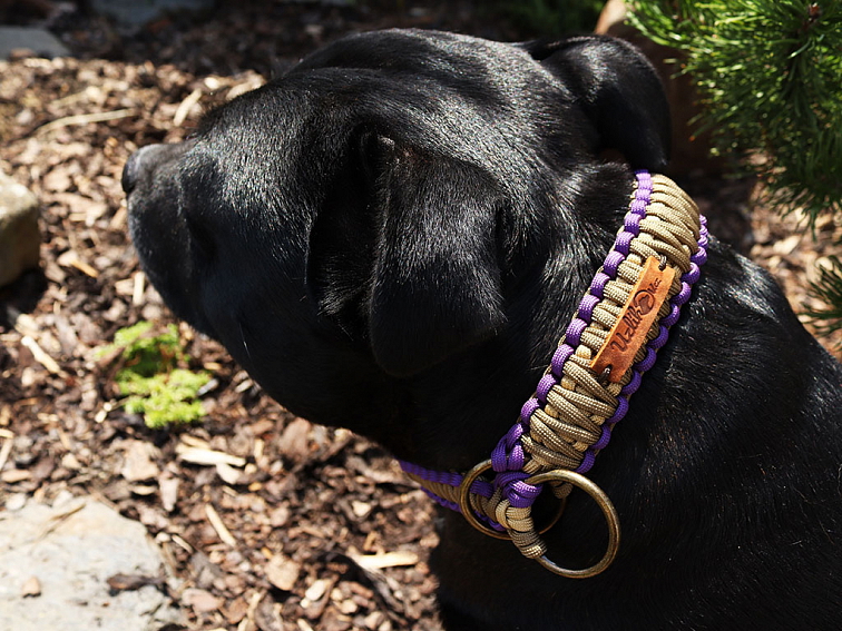 Stahovací obojek paracord KLASIK BROWN fialový