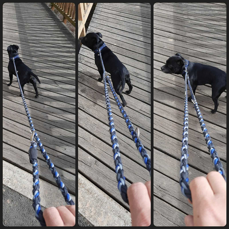 VÝPRODEJ Vodítko paracord 220 cm přepínací HARVEY NEON BLACK růžové