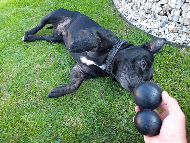 Míč KONG Extreme M/L