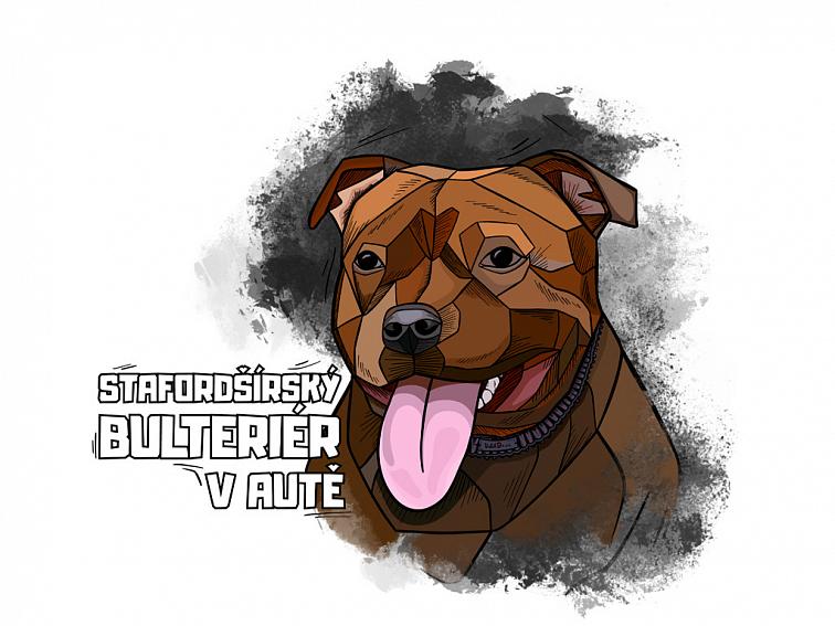 Samolepka Stafordšírský bulteriér v autě červený