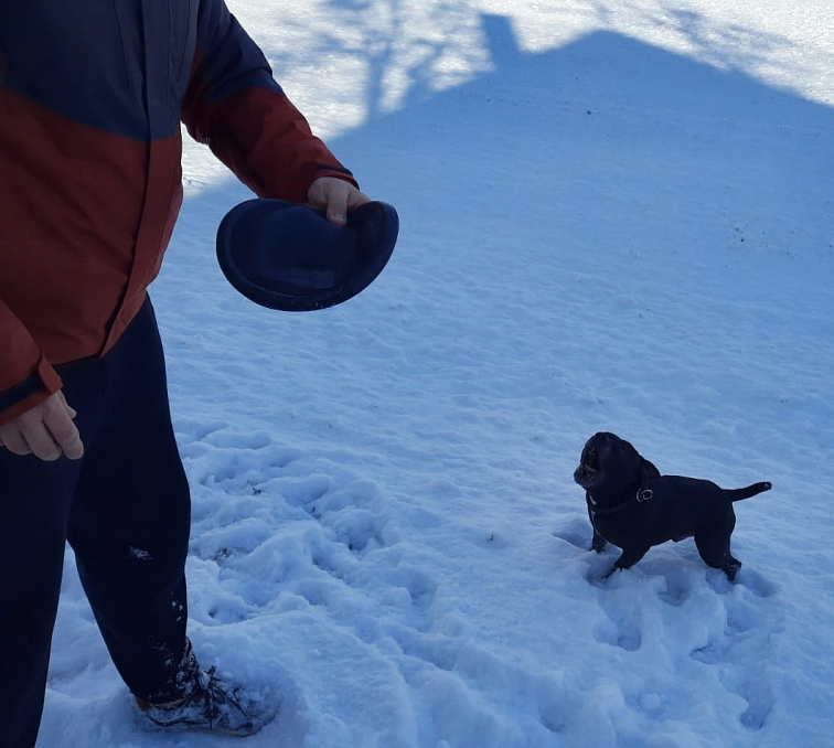 Létající talíř KONG Extreme