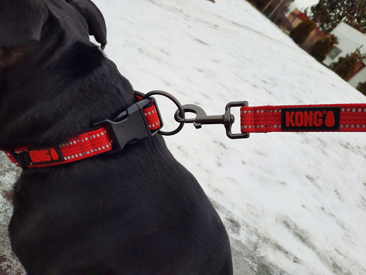 Zapínací nastavitelný obojek nylon KONG REFLEX L