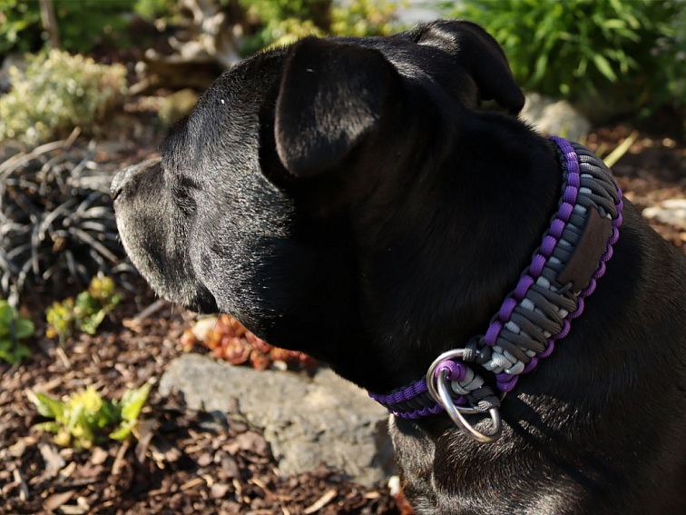 Stahovací obojek paracord KLASIK GREY fialový