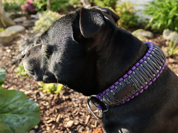 Stahovací obojek paracord KLASIK GREY fialový