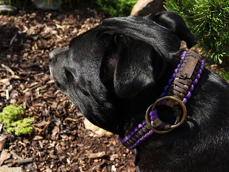 Stahovací obojek paracord KLASIK CHOCO fialový