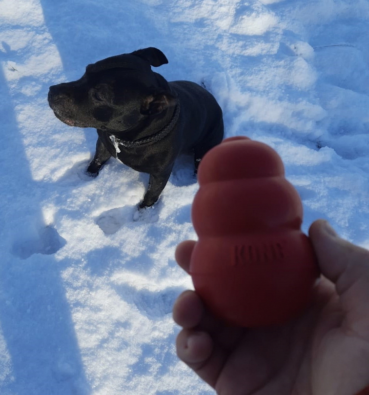 Hračka KONG Classic L