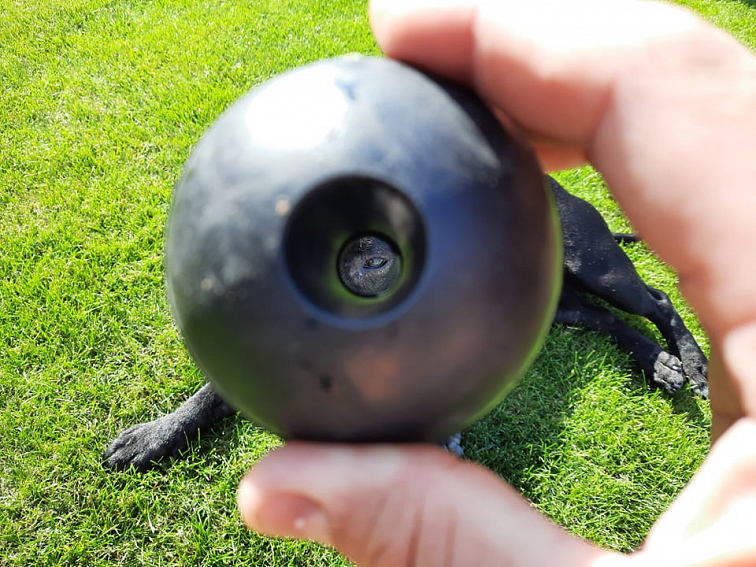 Míč KONG Extreme M/L