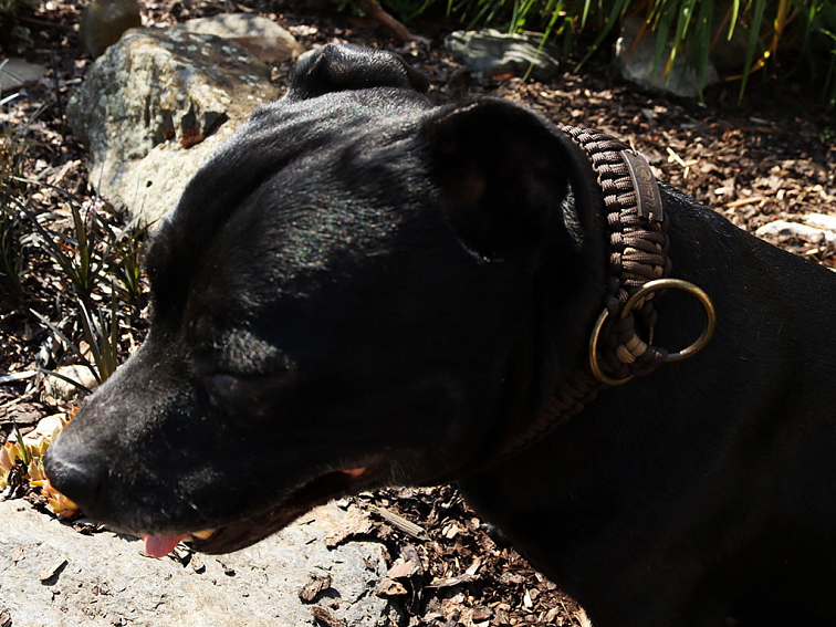 Stahovací obojek paracord KLASIK CHOCO čokoládový