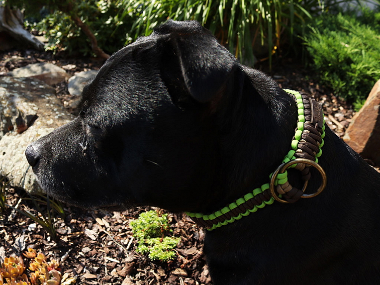 Stahovací obojek paracord KLASIK CHOCO zelený