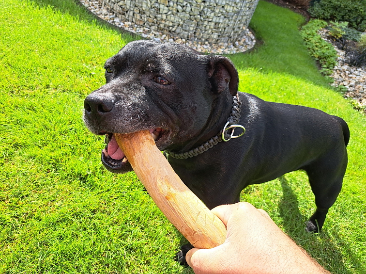 Kávové dřevo Chewies na žvýkání M