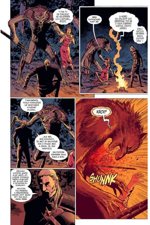 Zaklínač: Prokletí vran