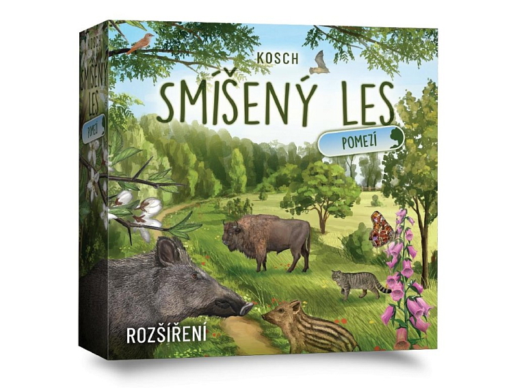 Smíšený les: Pomezí