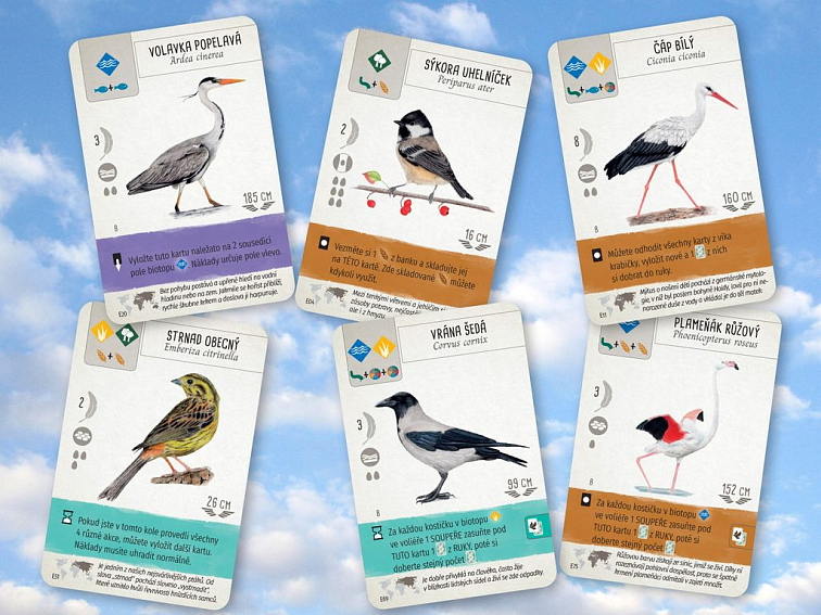 Na křídlech: Perutě Evropy - Rozšíření