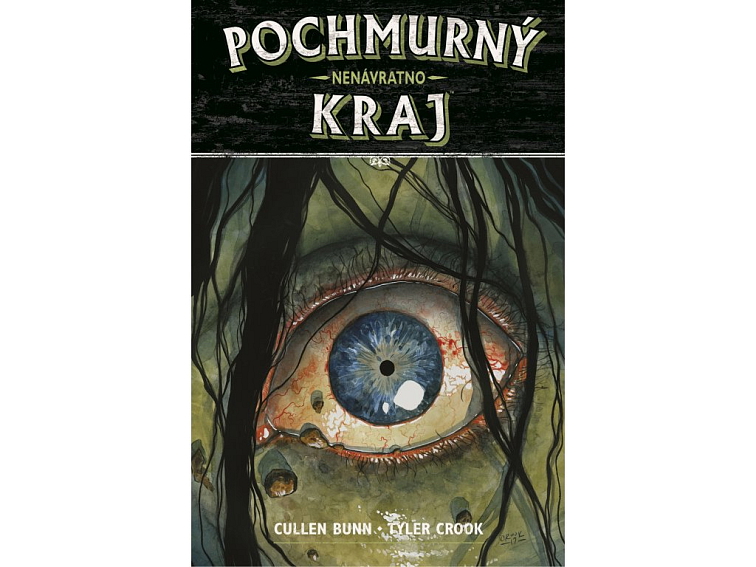 Pochmurný kraj 8 - Nenávratno