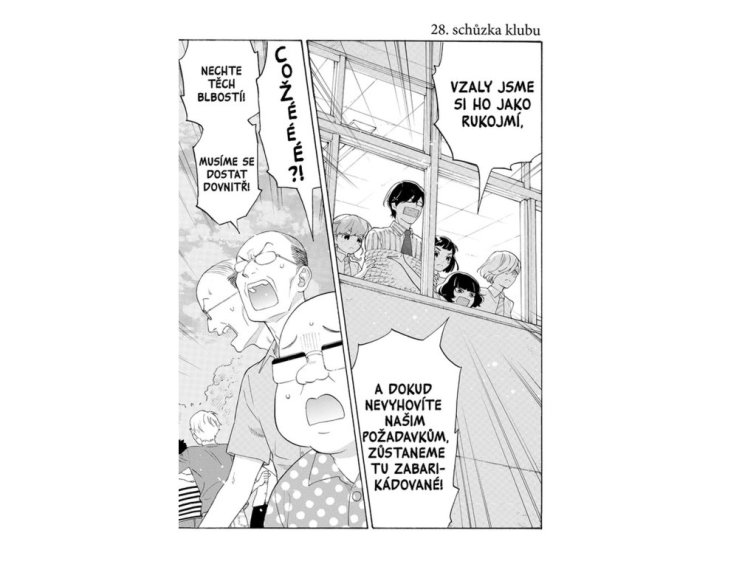 Ach, vy dívky mládím zmítané 8