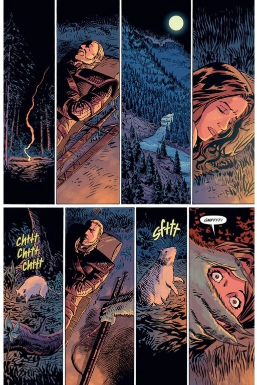 Zaklínač: Prokletí vran