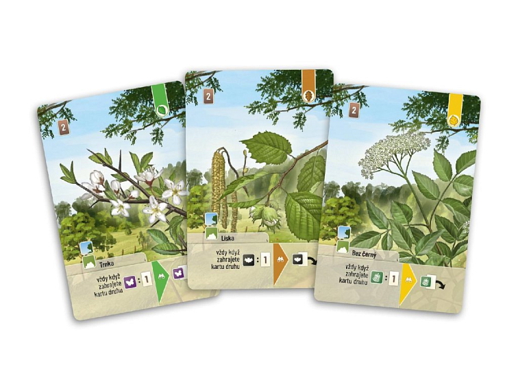 Smíšený les: Pomezí