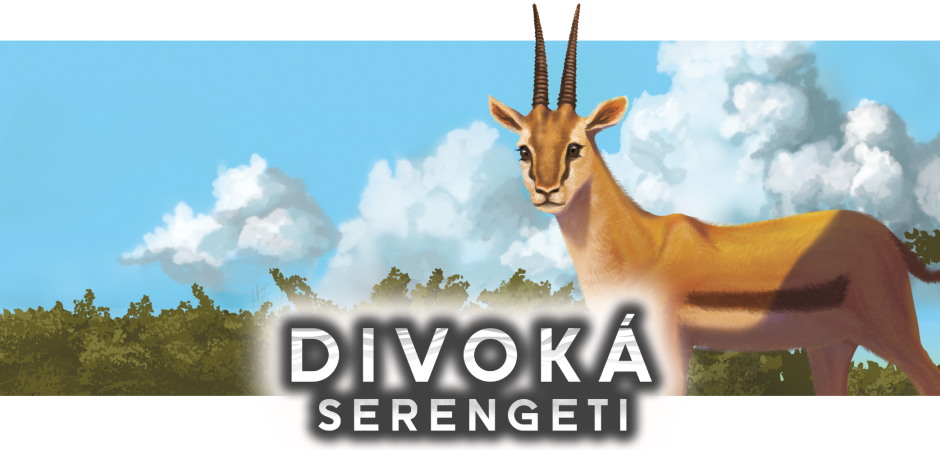Divoká Serengeti